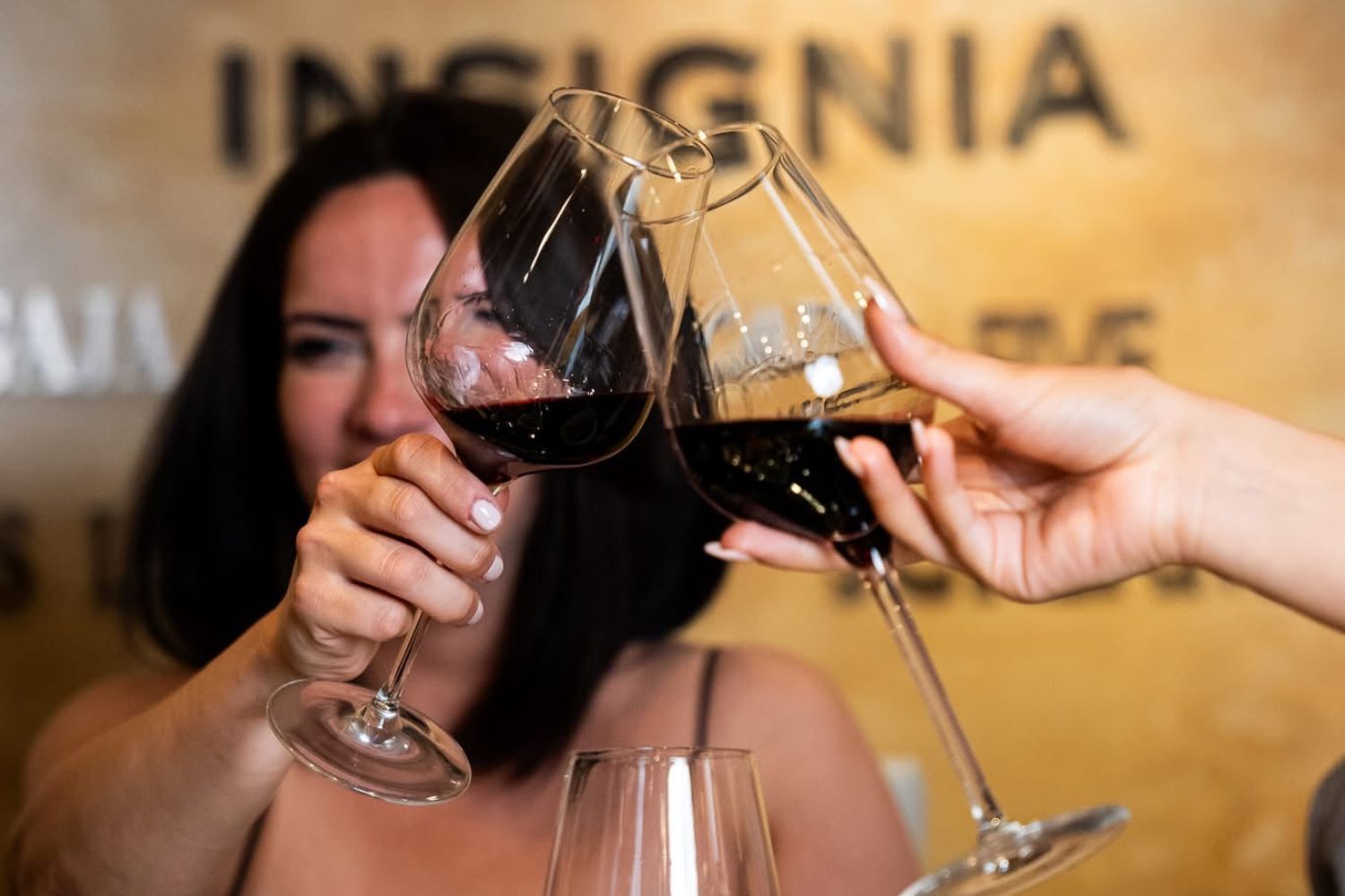 Diners raising their wine glasses for a toast at Insignia in Smithtown.
